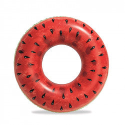 H2O GO! - Summer Fruit Pool Ring (One Swim Ring)