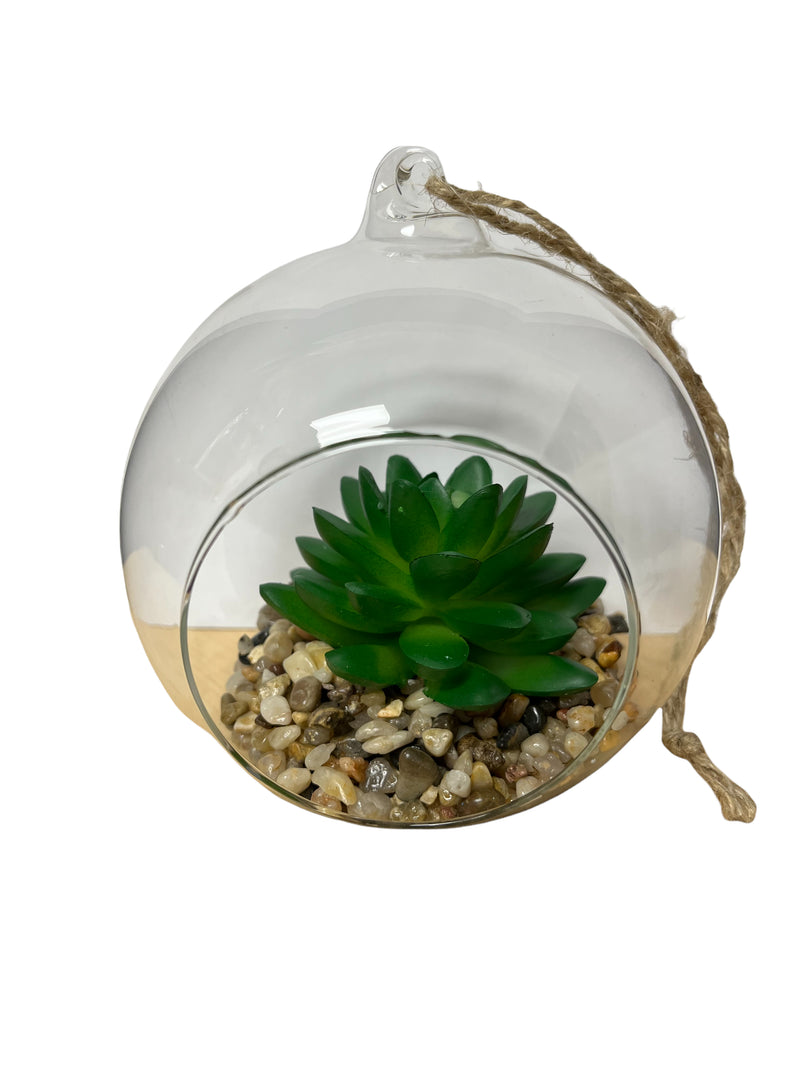 Terrarios en Cristal con Enganche 5.5".
