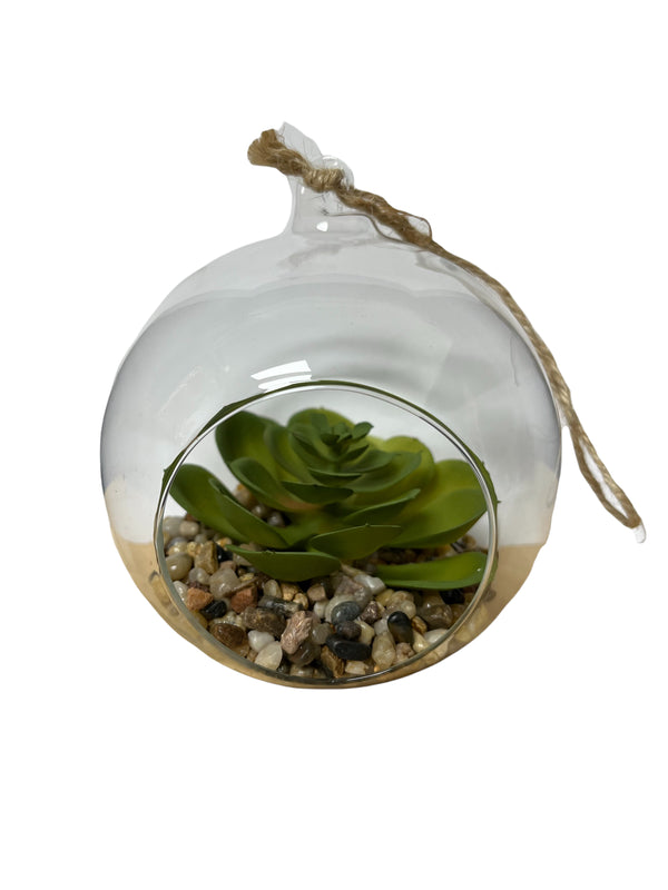Terrarios en Cristal con Enganche 5.5".