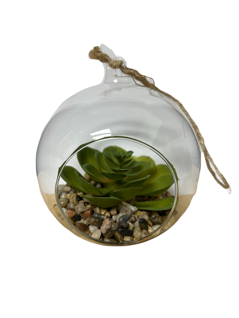 Terrarios en Cristal con Enganche 5.5".
