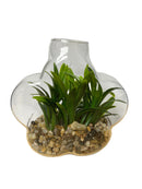 Terrarios en Cristal 5".