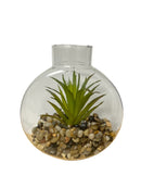 Terrarios en Cristal 5".