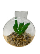 Terrarios en Cristal 5".