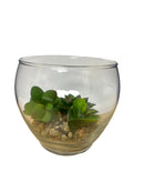 Terarrio en Envase de Cristal 5".