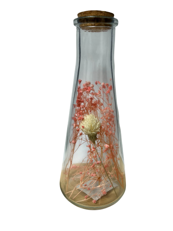 Botella Decorativa con Plantas 7.5".