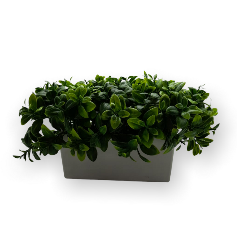 Plantas Artificiales- Macetero Blanco Rectangular.