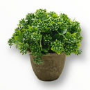 Planta Artificial con Tiesto Simulando Cemento.