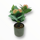 Planta Artificial con Tiesto Gris y Flores en Pompones.