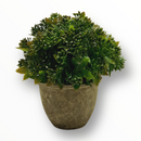 Planta Artificial con Tiesto Simulando Cemento.