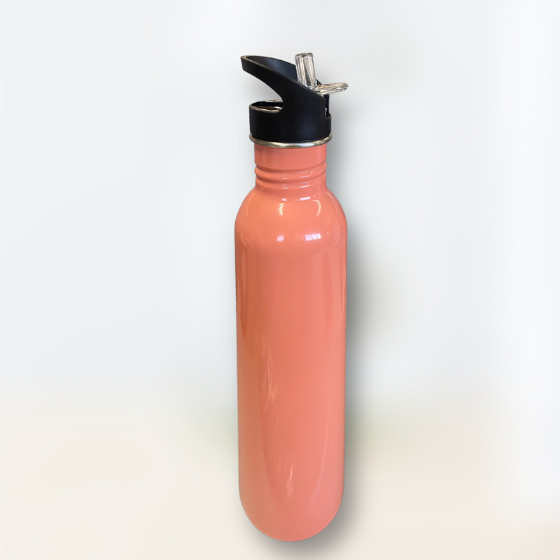 Botella Stainless Steel con Agarre.