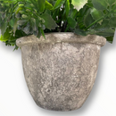 Planta Artificial con Tiesto Simulando Cemento.