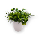 Plantas Artificiales- Macetero Blanco.