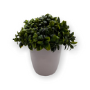 Plantas Artificiales- Macetero Blanco.