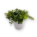 Plantas Artificiales- Macetero Blanco.