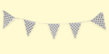 Party Banner (Banderines)- 8.5ft.