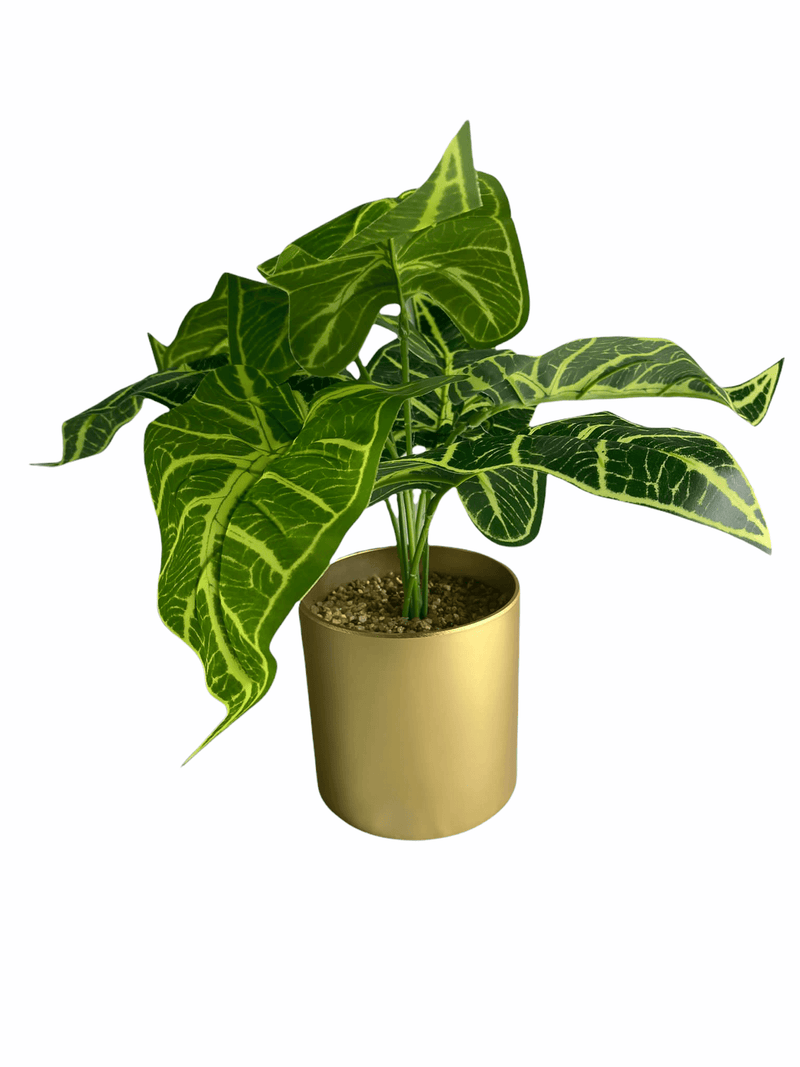 Planta Artificial.