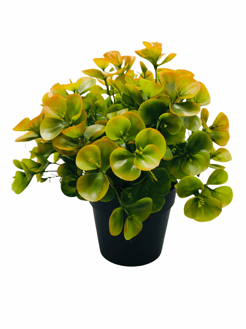 Planta Artificial.