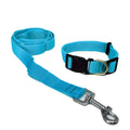 AW Pets - Set de Leash y Collar.
