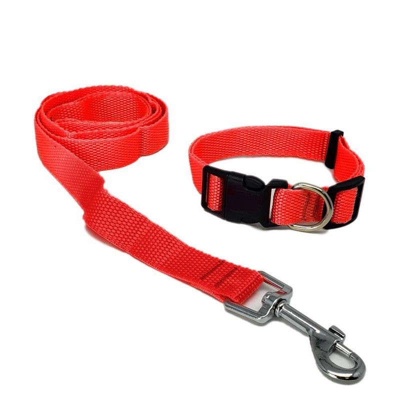AW Pets - Set de Leash y Collar.