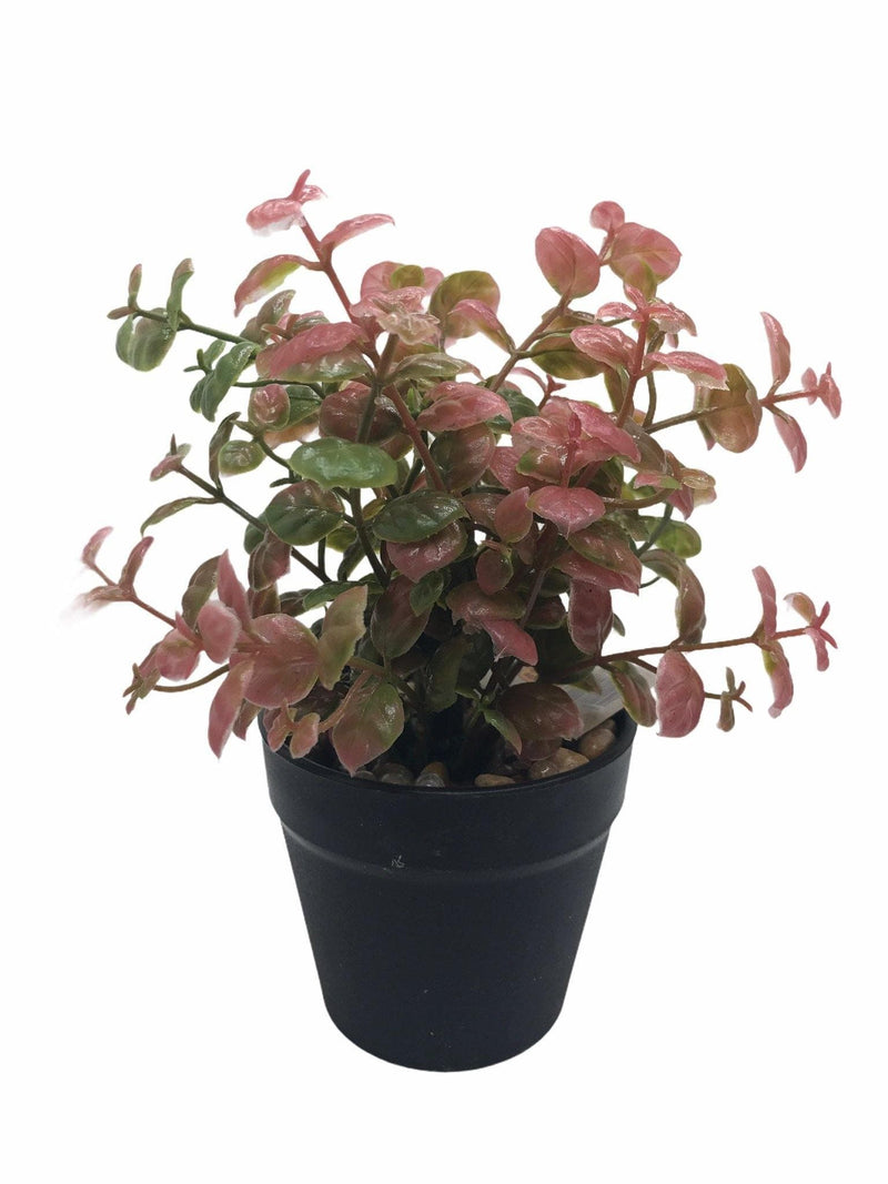 Planta Artificial.