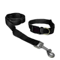 AW Pets - Set de Leash y Collar.