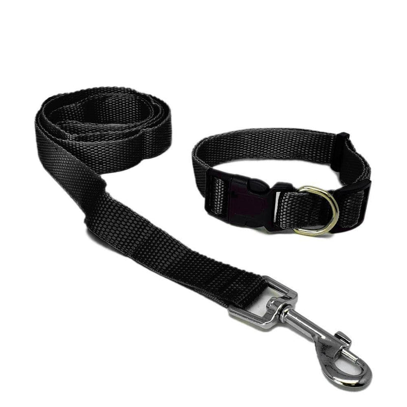 AW Pets - Set de Leash y Collar.