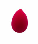 AW Beauty - Makeup Sponge.