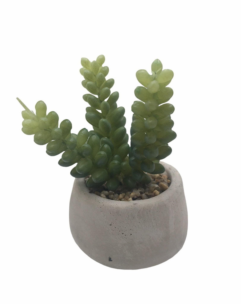 Planta Artificial (4.7").