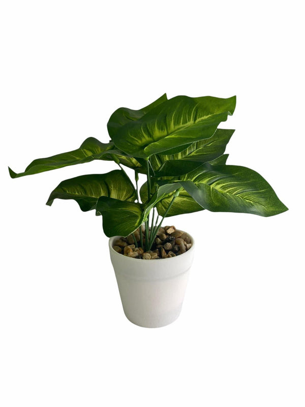Planta Artificial.