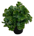 Planta Artificial.