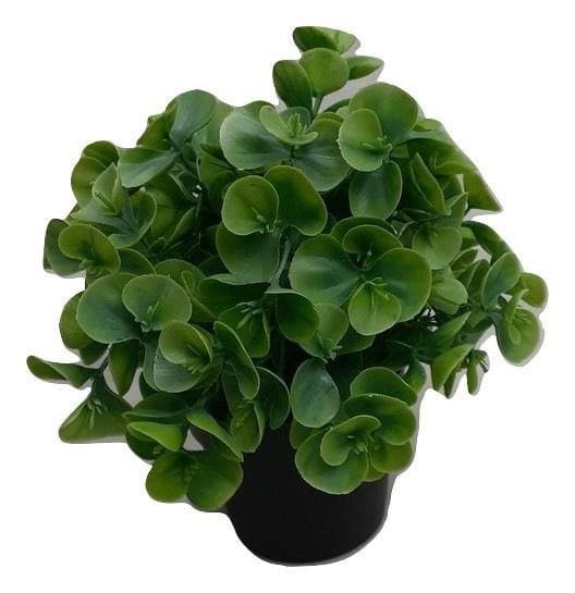 Planta Artificial.