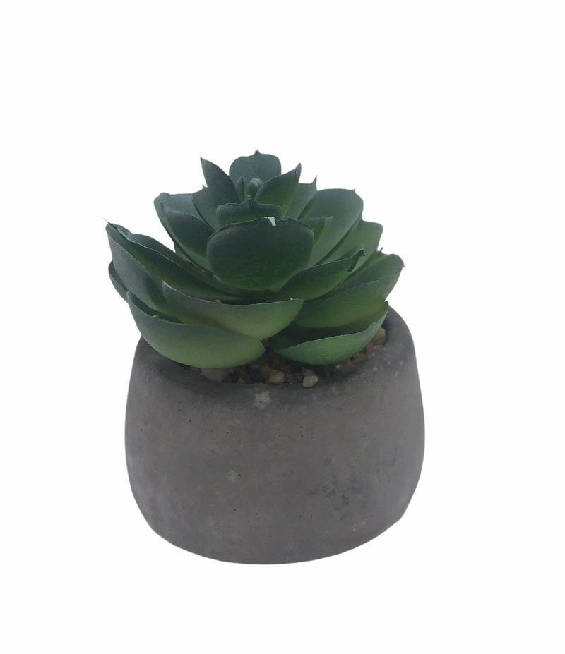 Planta Artificial (4.7").