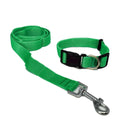 AW Pets - Set de Leash y Collar.